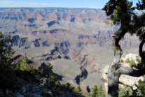 Grand Canyon 4-11-18 (47)