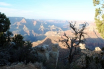 Grand Canyon 4-11-18 (99)